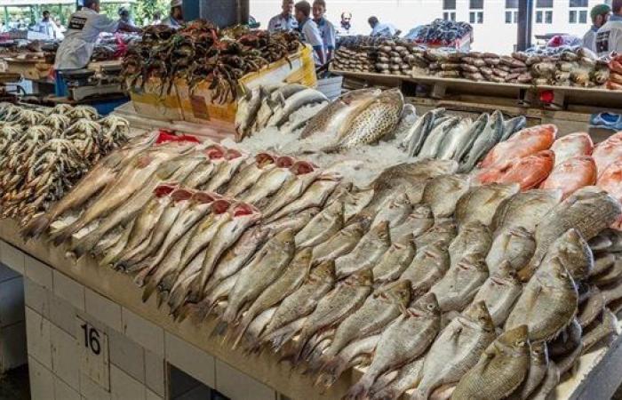 سعر الأسماك والمأكولات البحرية مساء الأربعاء 23 يوليو 2025