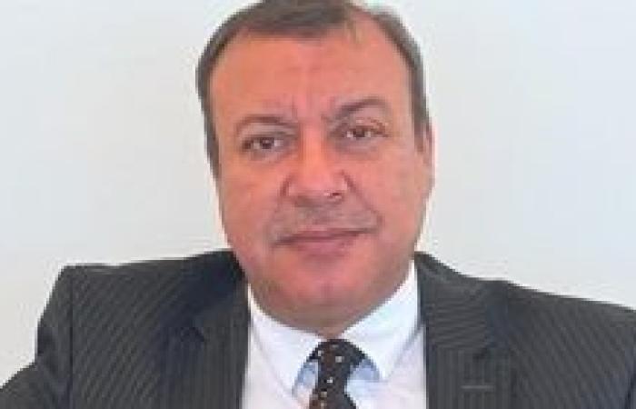قيادي بـ «مستقبل وطن»: المصريون بالخارج يدعمون موقف الدولة المصرية في نصرة القضية الفلسطينية ودعوات التجمهر مشبوهة