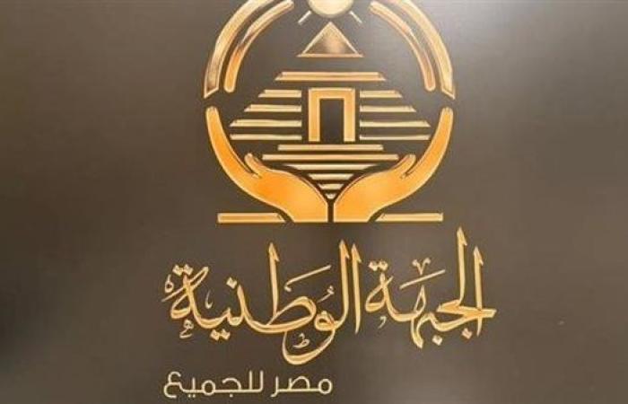 "الجبهة الوطنية": دعوات التظاهر أمام السفارات المصرية تخدم أجندات مشبوهة