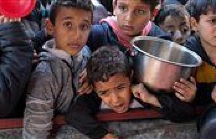 هيئة فلسطينية: 100 ألف طفل مهددون بالموت جوعا في قطاع غزة