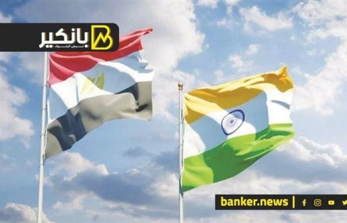 مفاجأة 2025.. الهند تغزو مصر باستثمارات مليارية هتوفر آلاف من فرص العمل
