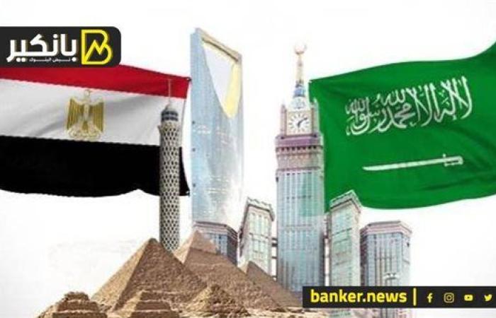 مشروع مصري سعودي هيغير خريطة الاستثمار في مصر