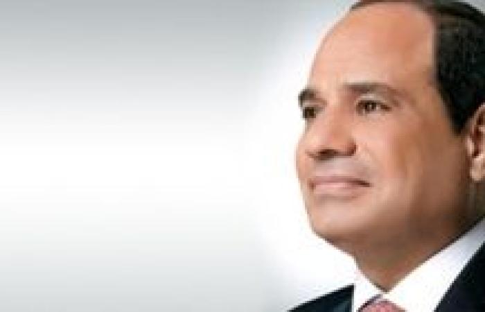 النائب خالد القط: كلمة الرئيس السيسي بشأن غزة تجسد الثوابت المصرية