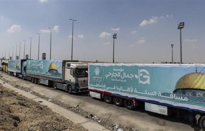 4000 طن مساعدات عبر قافلة "زاد العِزّة".. استمرار تدفق المساعدات المصرية إلى غزة
