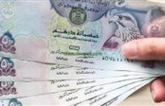 الدرهم الإماراتي الثلاثاء.. أسعار التحويل في البنوك والسوق