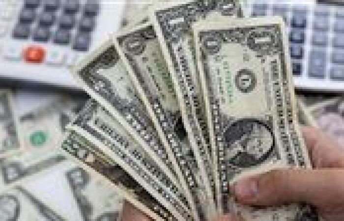 سعر الدولار في البنوك المصرية اليوم الثلاثاء 29 يوليو 2025