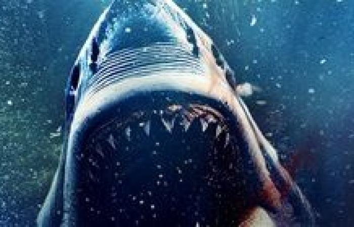 Fear Below مغامرة مرعبة بأعماق البحار في دور العرض بدايةً من 30 يوليو