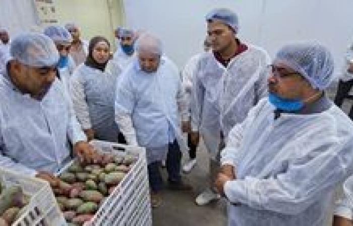 حجم الصادرات الزراعية المصرية يتجاوز 6.2 مليون طن