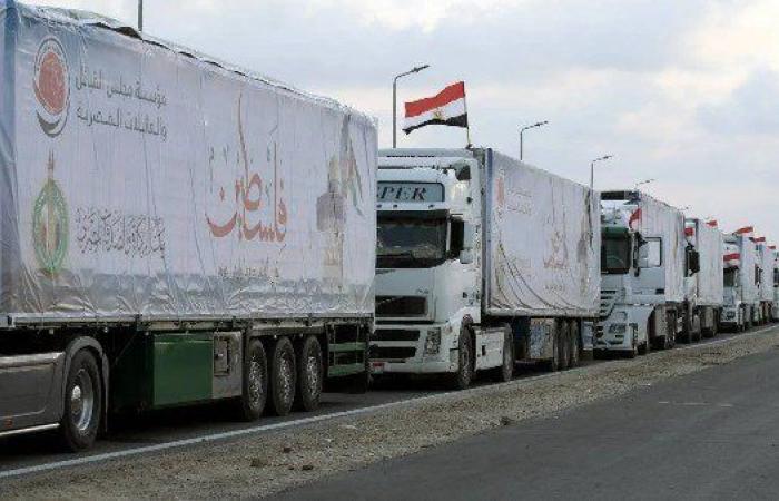 «دقيق ومواد طبية».. تواصل دخول شاحنات المساعدات من مصر إلى غزة (فيديو)