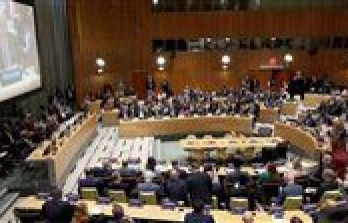 السعودية وفرنسا تقودان مؤتمر السلام: دعوات دولية للاعتراف الفوري بدولة فلسطين وإدانة لتجويع غزة