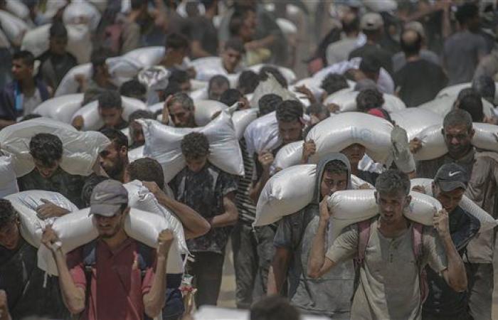 مصادر طبية: 12 شهيدًا بنيران جيش الاحتلال في غزة منذ فجر اليوم