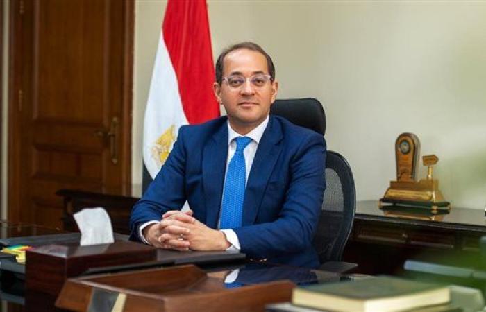 وزير المالية: صرف 5 مليارات جنيه نقدًا لـ2000 شركة مصدرة في 7 أغسطس المقبل