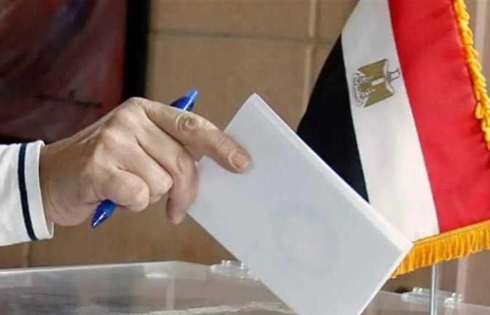 الوطنية للانتخابات: تحديث البرامج والتطبيقات الإلكترونية استعدادا لانتخابات مجلس الشيوخ