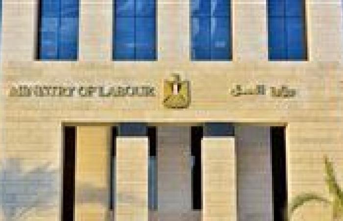 ضبط 276 عامل أجنبي دون ترخيص في منشآت بالبحر الأحمر