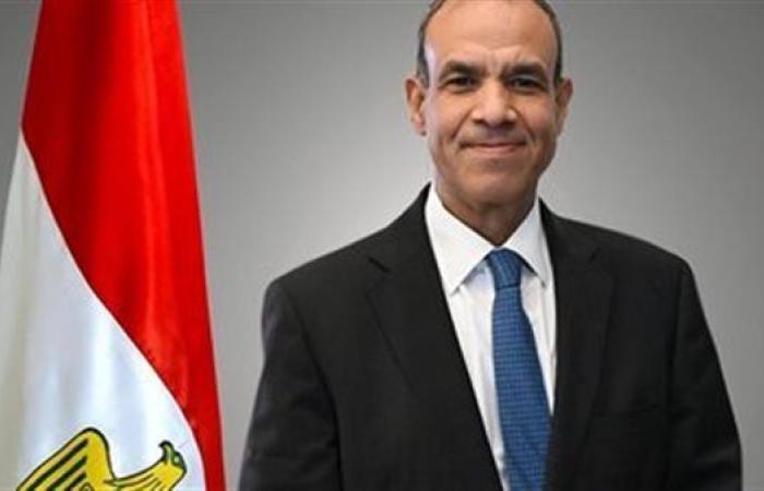 وزير الخارجية: مؤتمر "حل الدولتين" نجح في إعادة الزخم للقضية الفلسطينية