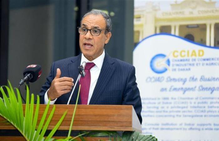 وزير الخارجية خلال الإدلاء بصوت فى انتخابات مجلس الشيوخ: حق لكل مواطن