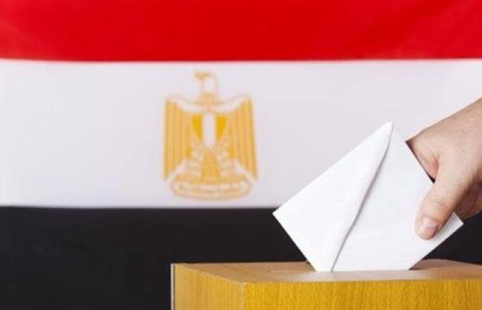 إقبال ملحوظ من المصريين بالخارج على التصويت في انتخابات مجلس الشيوخ