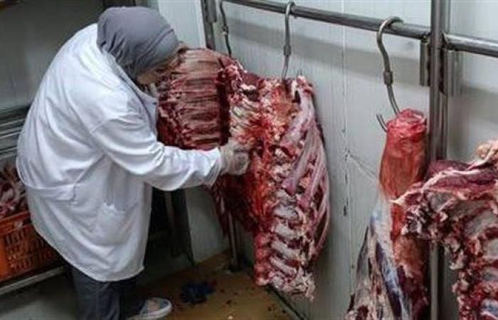 أسعار اللحوم البلدية والمستوردة في الأسواق