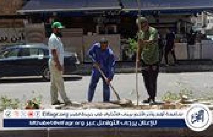 وحدة سكان مطروح تشارك في مبادرة "مطروح الخير" بزراعة أشجار الزينة