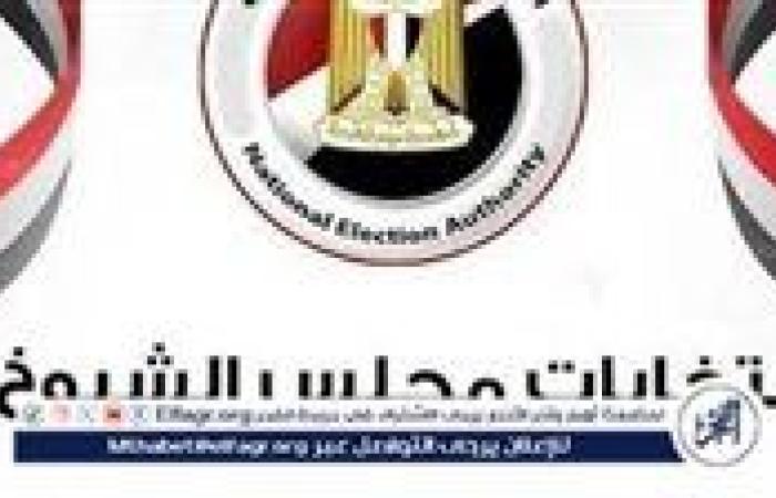 بعد بدء تصويت المصريين بالخارج.. تعرف على موعد التصويت بالداخل