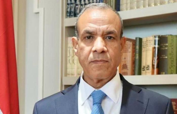 وزير الخارجية: العلاقات المصرية الأمريكية استراتيجية ولها طابع خاص