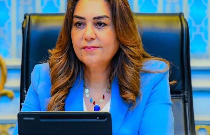 وزيرة التنمية المحلية: استعدادات مكثفة لانطلاق انتخابات مجلس الشيوخ 2025 يومي 4 و5 أغسطس