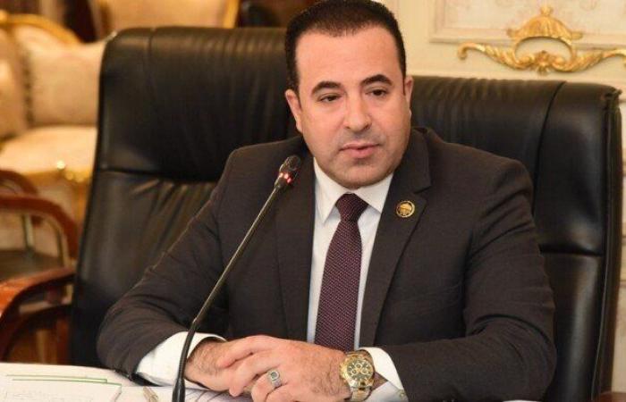 اتصالات النواب: ضوابط خاصة لـ التيك توك تتماشى مع القيم المصرية