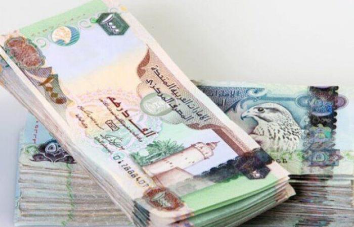 سعر الدرهم الإماراتي مقابل الجنيه المصري في البنوك اليوم الجمعة 1 أغسطس 2025