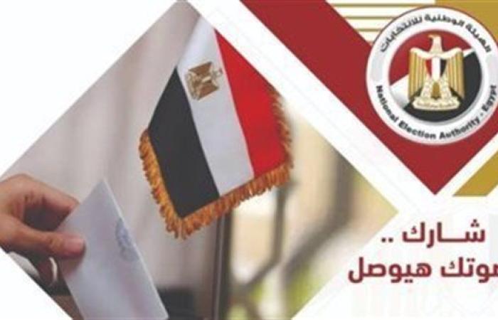 13 لجنة أنهت التصويت وبدأت الفرز.. تطورات تصويت المصريين بالخارج بانتخابات الشيوخ