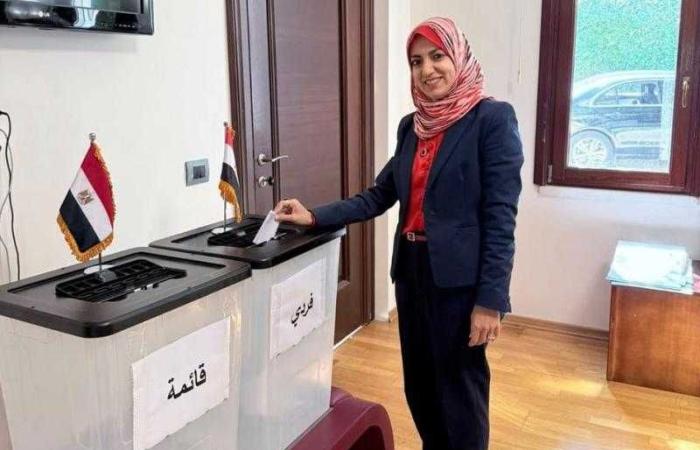 مراسل إكسترا نيوز: الهيئة مستمرة في التواصل مع سفراء مصر بالخارج لضمان سلاسة التصويت