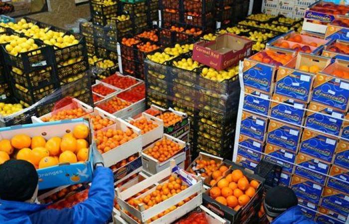 أوروبا تفتح أسواقها للمنتجات المصرية الزراعية والغذائية والصناعية.. شوف المكاسب الاقتصادية
