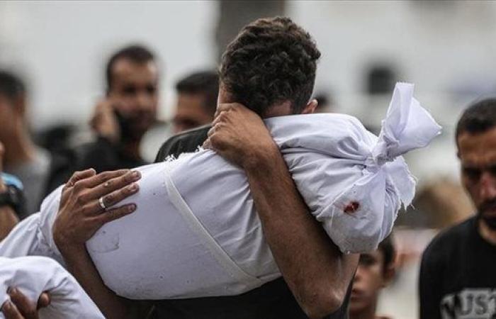باحث إسرائيلي بارز: ما يجرى في القطاع إبادة جماعية.. عمر بارتوف: القطاع يواجه خطة ممنهجة لتدمير الشعب الفلسطيني