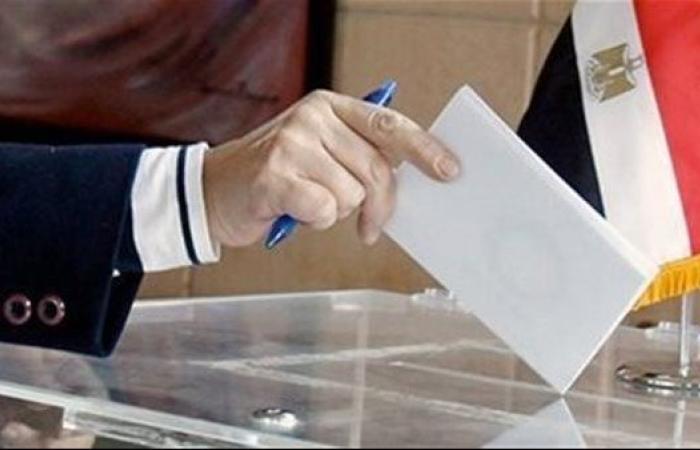 بدء التصويت فى آخر أيام انتخابات الشيوخ بالخارج بسفارات مصر بالسويد والنمسا وسويسرا