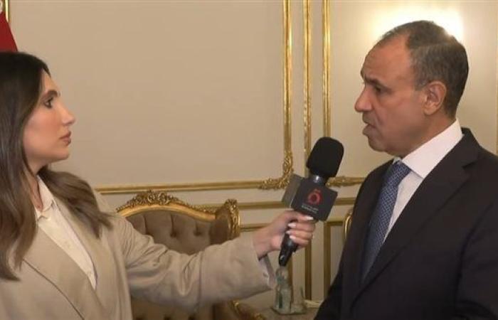 وزير الخارجية: الرئيس السيسي يقود سياسة نشطة.. ومصر تواصل جهودها لدعم القضية الفلسطينية