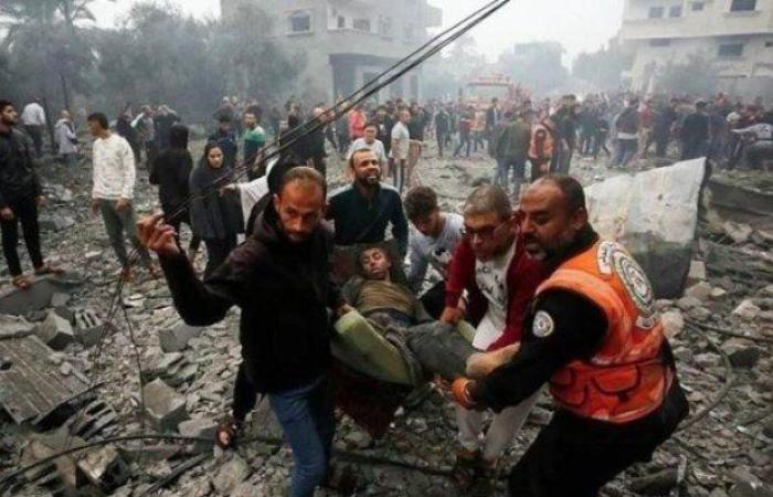 برلماني إيطالي: الاحتلال يمعن في إبادة سكان غزة رغم مطالب وقف التعاون العسكري