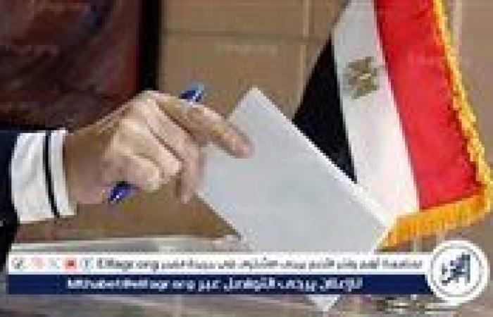 اعرف لجنتك الانتخابية في انتخابات الشيوخ 2025.. خطوات سهلة عبر الموقع والتطبيق