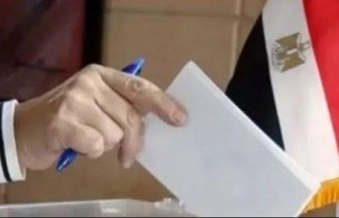 المصري الديمقراطي يعقد اجتماعًا موسعًا لمتابعة سير انتخابات الشيوخ 2025.. غدًا