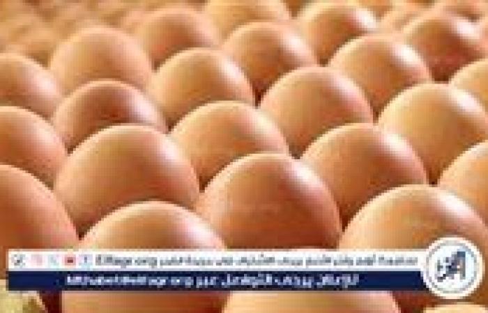 اسعار البيض اليوم الاحد 3-8-2025 في الدقهلية