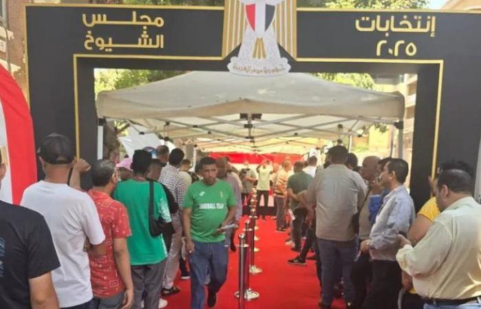 الوطنية للانتخابات ترصد زحام الناخبين بالقاهرة والشرقية وتدفع بالمساعدات لتخفيفه