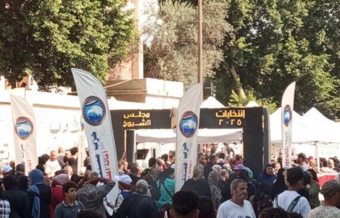 انتخابات الشيوخ 2025.. توافد المواطنين على اللجان بأول أيام التصويت في المقطم