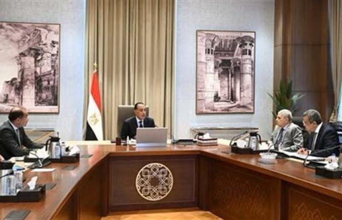 عاجل.. رئيس الوزراء يتابع جهود دعم وتوطين الصناعة في مصر