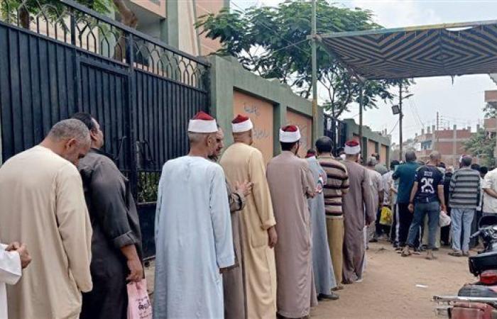 انتخابات مجلس الشيوخ 2025.. اللجان تفتح أبوابها أمام الناخبين في اليوم الثاني والأخير