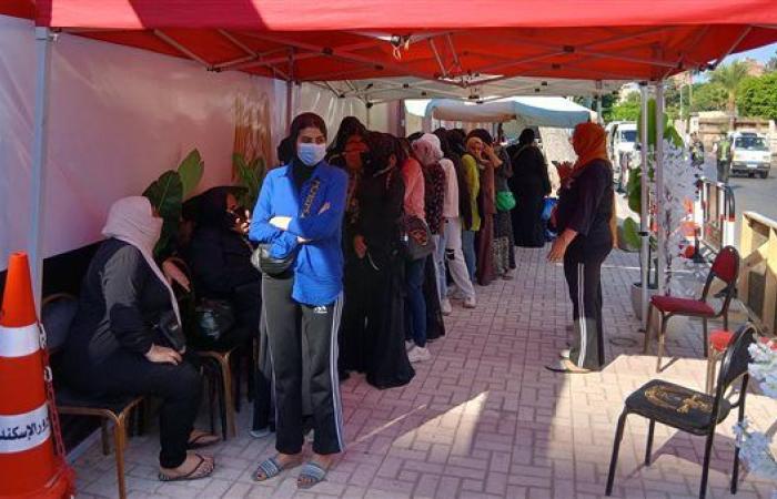 انتخابات الشيوخ 2025.. السيدات يتصدرن المشهد في اليوم الثاني من التصويت