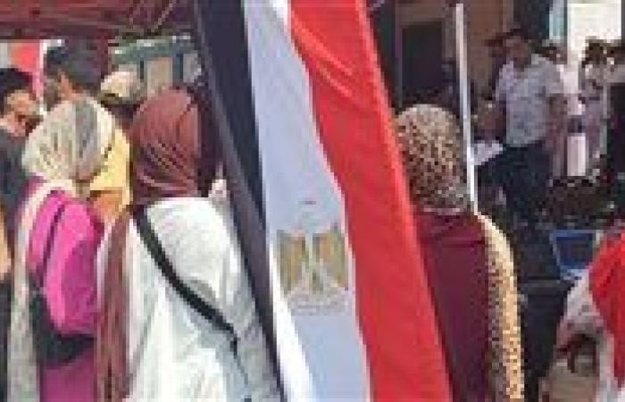 تنسيقية شباب الأحزاب تصدر بيانها الختامي حول انتخابات الشيوخ: مشاركة واسعة وانتخابات نزيهة