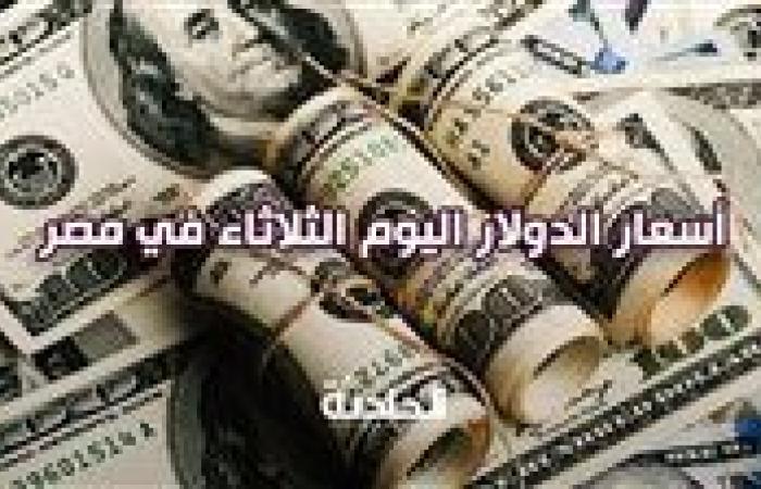 سقوط جديد في سعر الدولار اليوم الثلاثاء 5 أغسطس 2025.. أمل جديد للجنيه المصري
