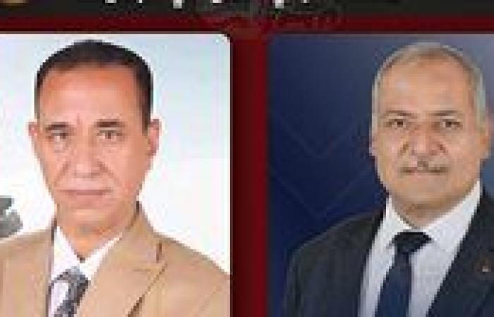 إعادة مرتقبة بين عبد الحكم جبالي وخيري طليب في الوادي الجديد.. و33.6 ألف صوت للقائمة الوطنية