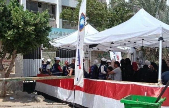 تتضمن محاضر الفرز.. بدء تسليم نتائج انتخابات مجلس الشيوخ 2025