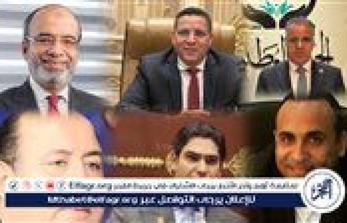 نتائج الحصر العددي لأصوات الناخبين في انتخابات الشيوخ ببني سويف