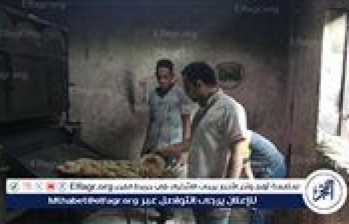تحرير 13 محضر تمويني بمركز البداري فى أسيوط