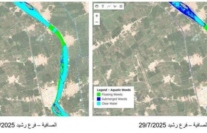 «الري» تستخدم Google Earth Engine لرصد ورد النيل.. ومعايرة النتائج لضمان أعلى دقة